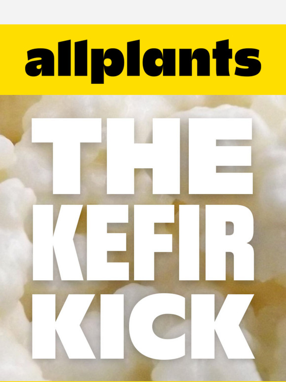 Kefir, but make it ✨vegan✨