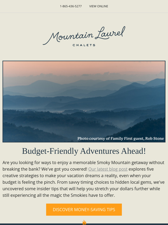 Mountain Laurel Moments: Your Weekly Update from the Smokies