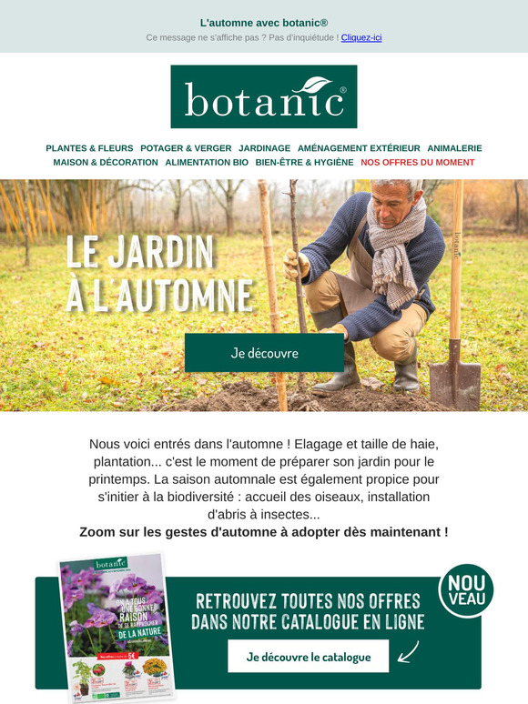 Les gestes d'automne à adopter dès maintenant !