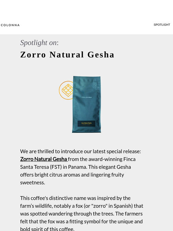 Spotlight on: Zorro Natural Gesha