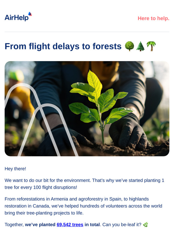 We’re planting trees! 🌳