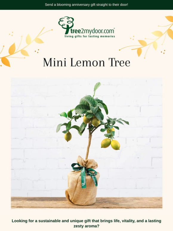 Our Most In Demand Gifts 🍃