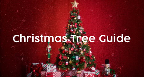 CHRISTMAS TREE GUIDE