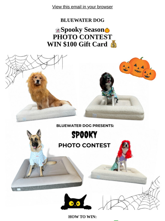 WIN $100 👻 Spooky Season Photo Contest 🎃