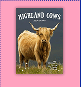 2025 Highland Cows Diary