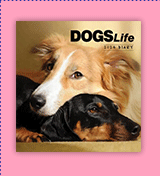 2025 Dogs Life Calendar