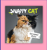 2025 Snappy Cat Calendar