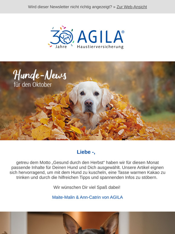➔ Dürfen Hunde draußen leben?
