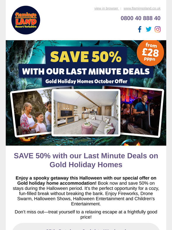 SAVE 50% with our Last Minute Deals