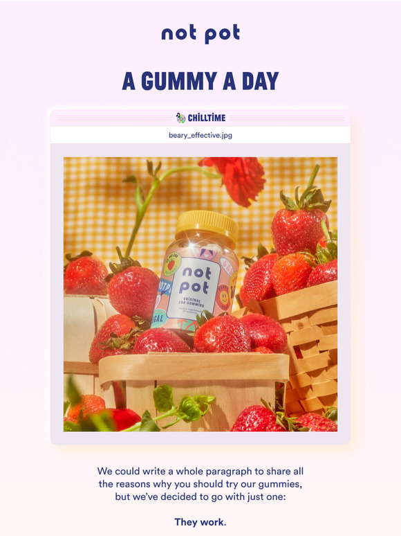 The world's chillest CBD gummy 🐻