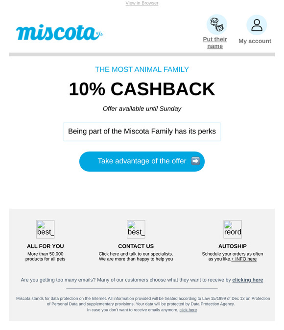 10% cashback ⏰ Last days to pamper your furry friend!