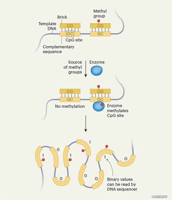 Nature Journal Google DeepMind roll out ‘watermark’ on AIgenerated