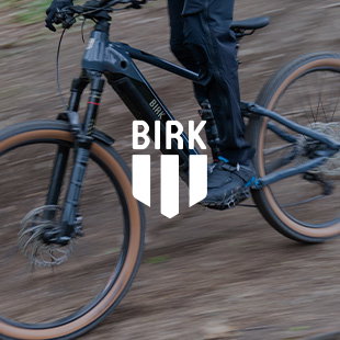 Birk