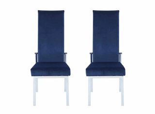 Anabel Dining Chair - Set of 2