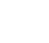 Delivery in 3 days or less*