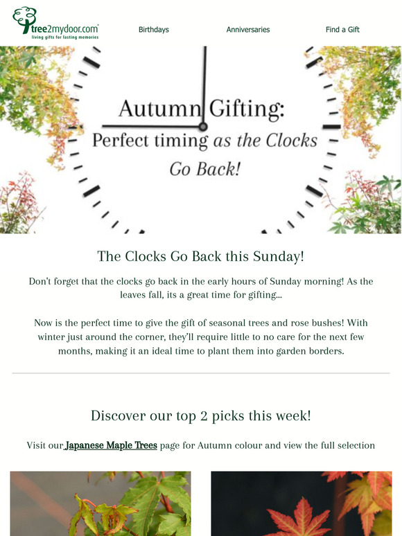 Turn Back the Clocks ⏰, Embrace Autumn’s Beauty with Maple Gifting 🍁🌞