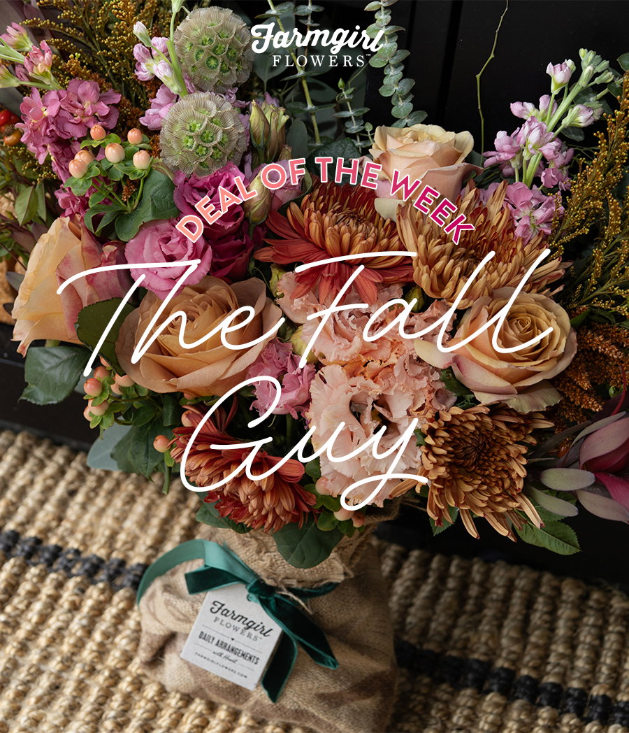 The Fall Guy Deal of the Week