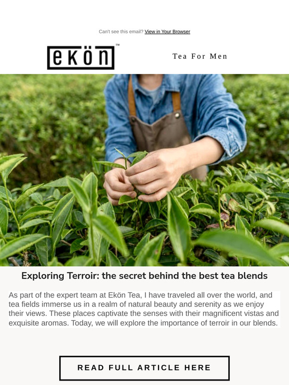Uncover the Power of Terroir in Tea Blends