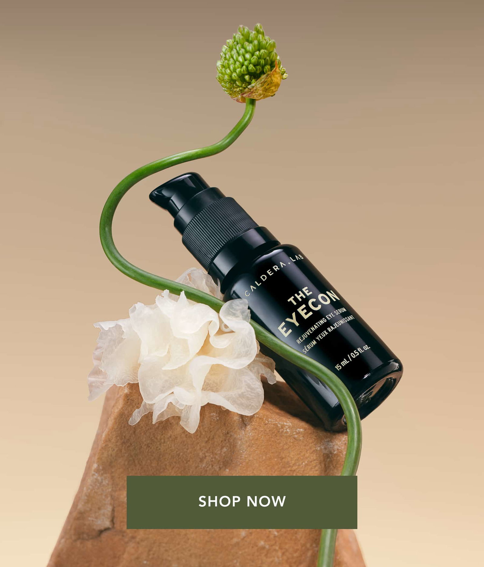 The Eyecon | Shop Now