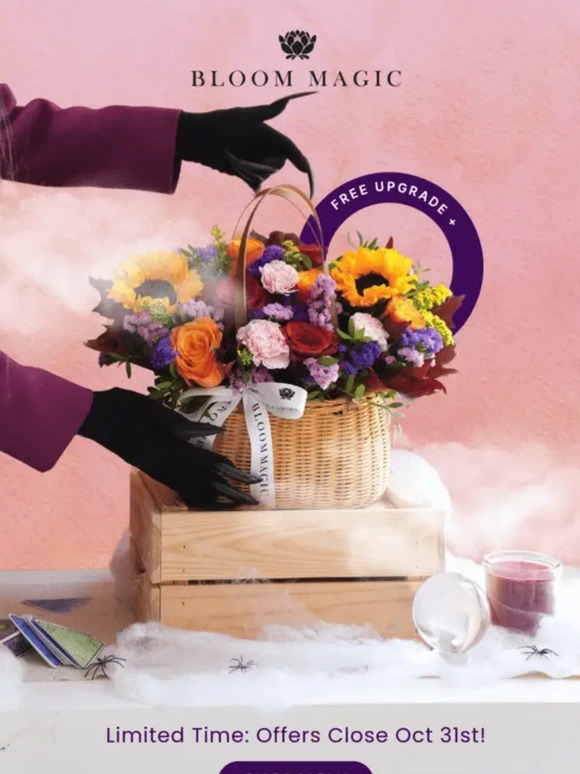 Bewitching Flower Deals 🪄