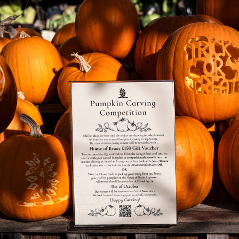 Pumpkin Carving Competition