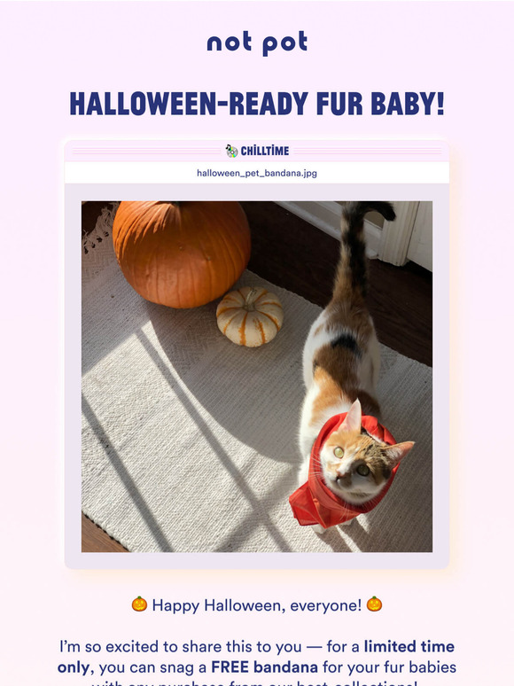 Treats for Your Pet! 🎃🐶