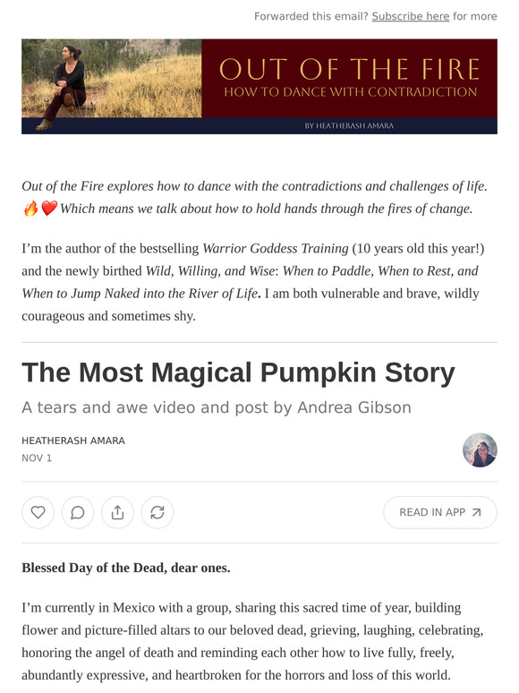 The Most Magical Pumpkin Story