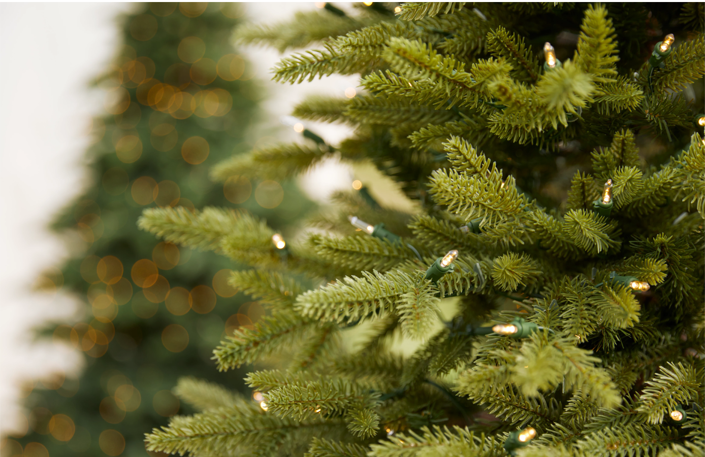 Balsam Hill Tree zoomed in