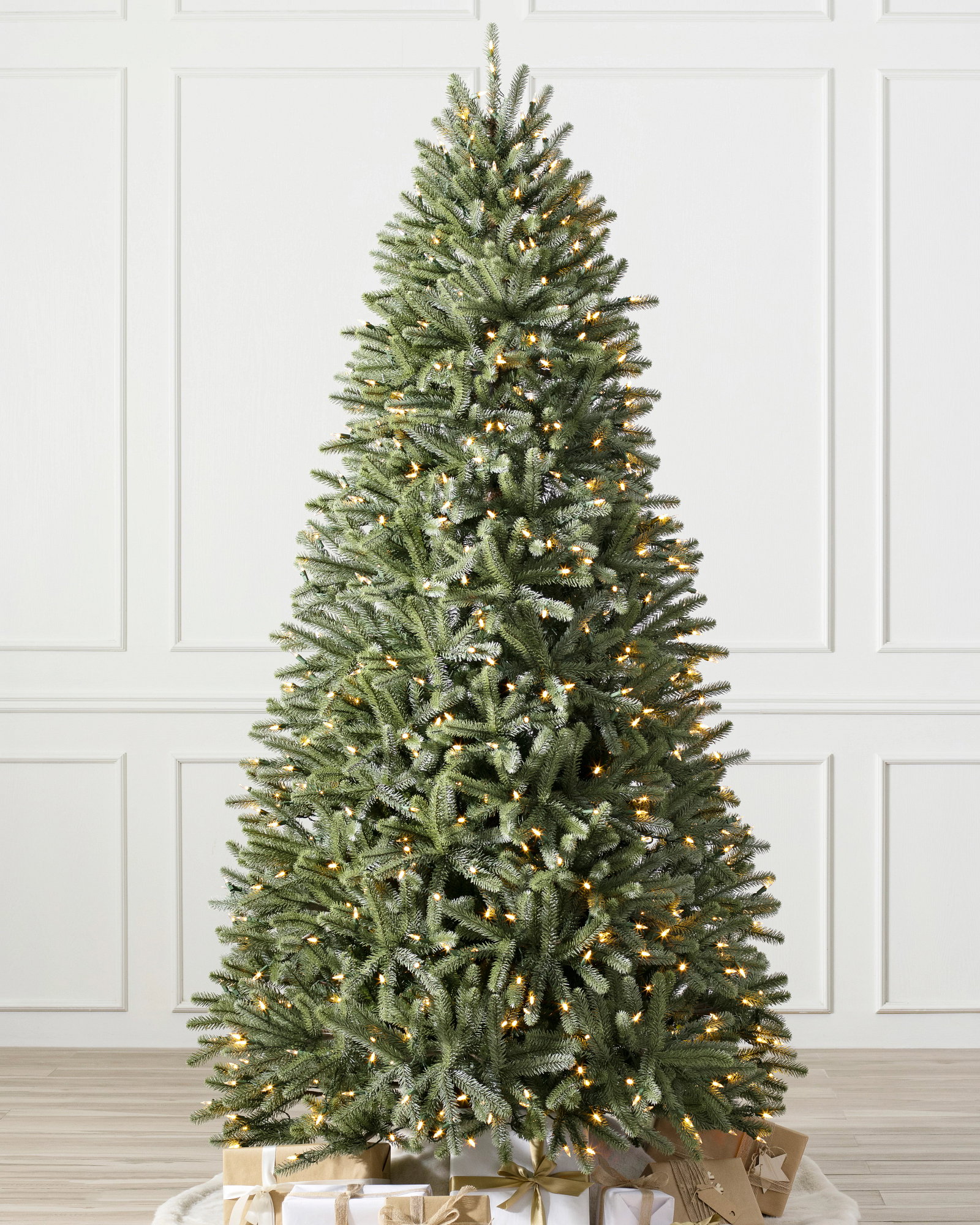 Image of Royal Blue Spruce® reNEW