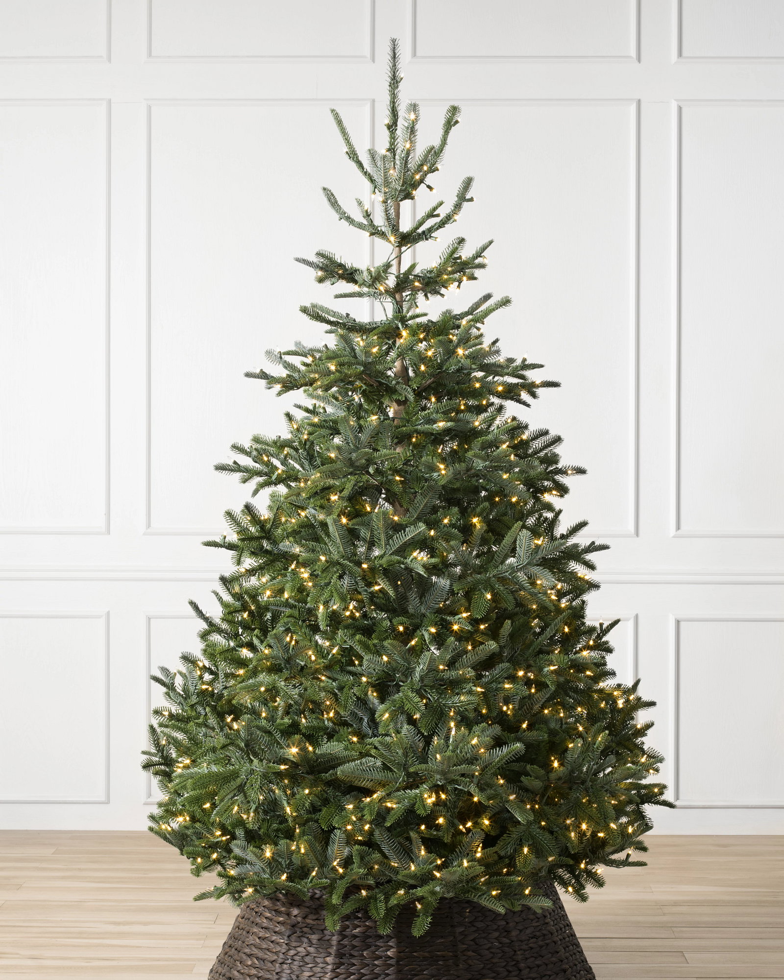 Image of BH Nordmann Fir® reNEW
