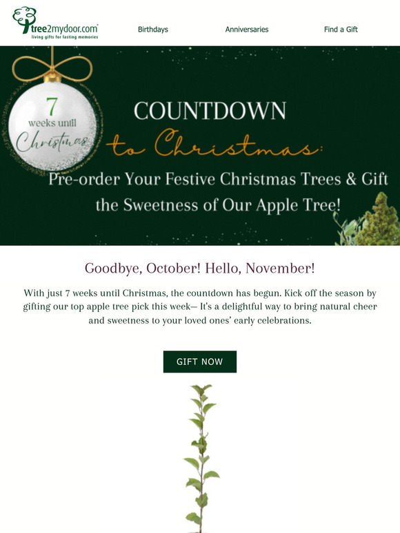 🎄 Get a Head Start on the Holidays: Pre-Order Your Christmas Tree Gifts Today! 🎁