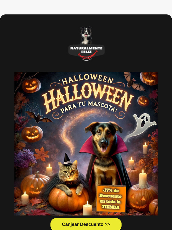 Cangea tu descuento TERRORIFICO 🐶