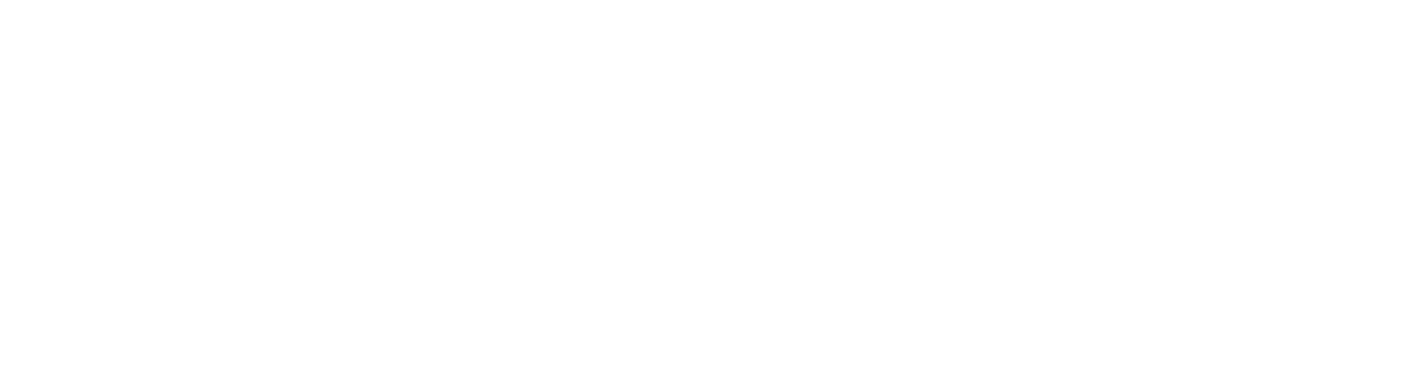 Giesswein