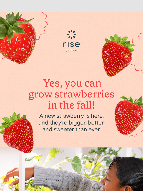 Fall’s Sweetest Secret!