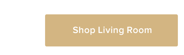 Shop Living Room