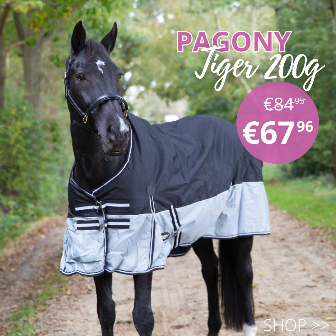 -20% on everything by Pagony &#x1f389;