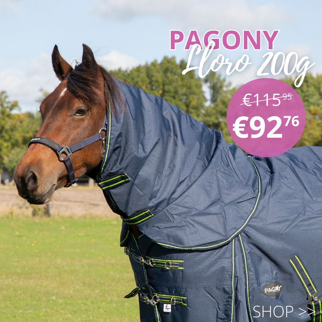 -20% on everything by Pagony &#x1f389;