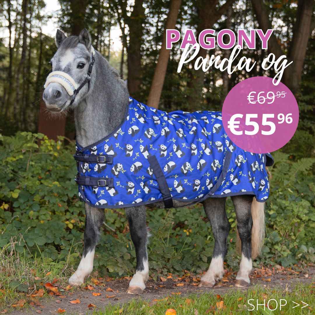 -20% on everything by Pagony &#x1f389;