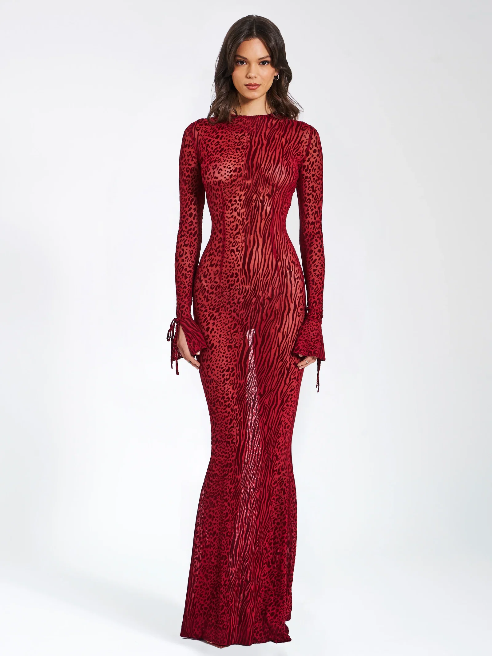 Image of Waylynn Burnout Velvet Detail Mesh Backless Maxi Dress