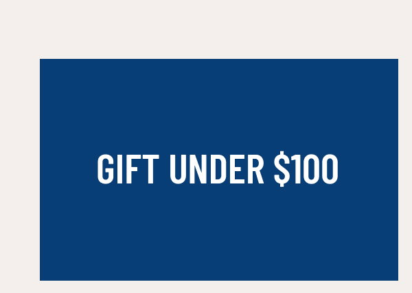 gift under $100