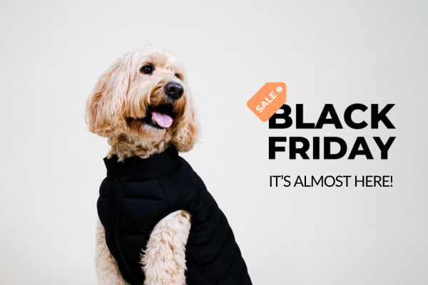 Cockapoo wearing a Black dog puffer jacket from Barc London, with the text 'Black Friday - It's almost here' to the right.