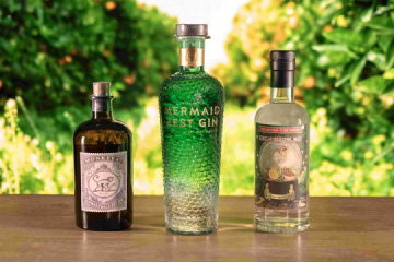 Gin