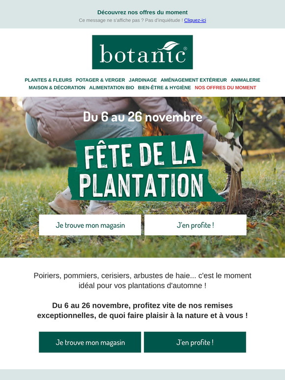 C'est le moment idéal pour vos plantations d'automne🍂