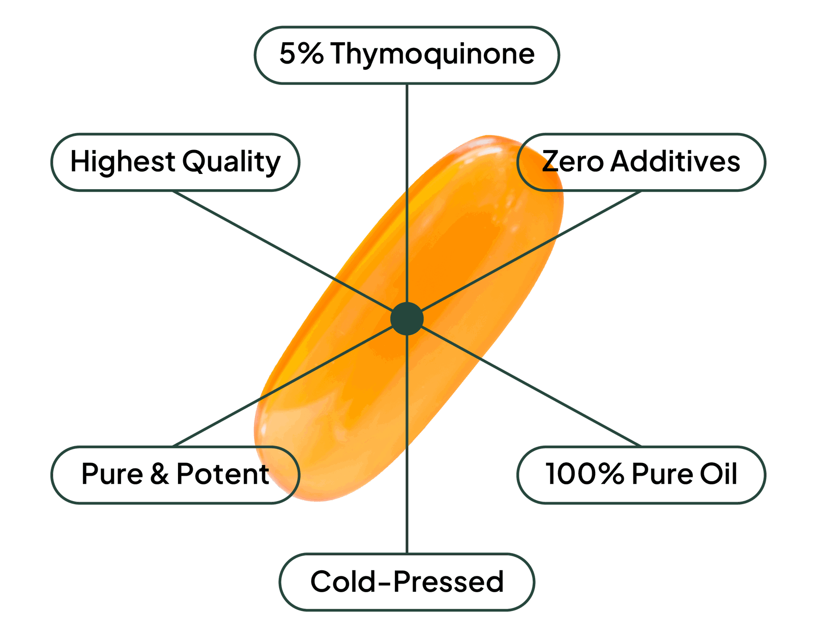 5% Thymoquinone, Zero Additives, 100% Pure Oil, Cold-Pressed, Unmatched Purity & Potency, Highest Quality.