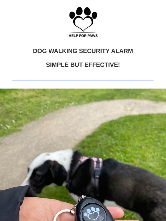 Keep Safe When Walking Dogs With This🐾