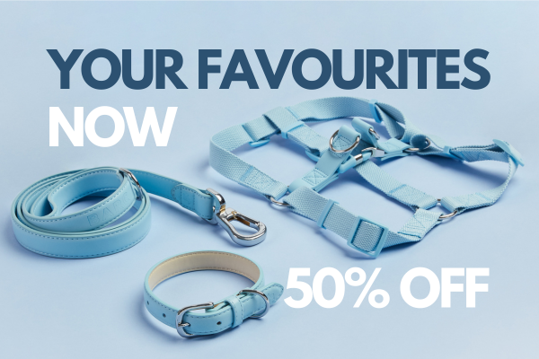 Blue Barc London dog collar, harness and lead, on a matching blue background, with the words 'Your favourites now 50% off'