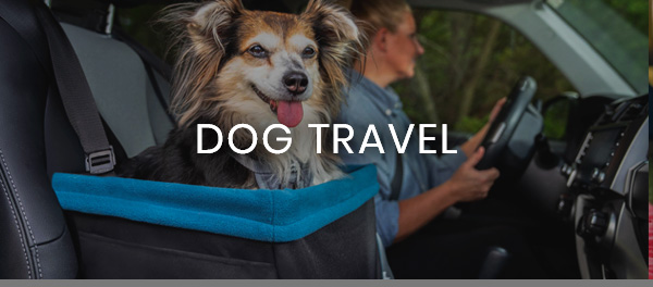 Dog Travel