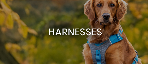Harnesses