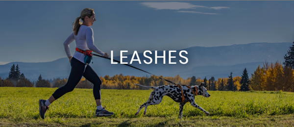 Leashes