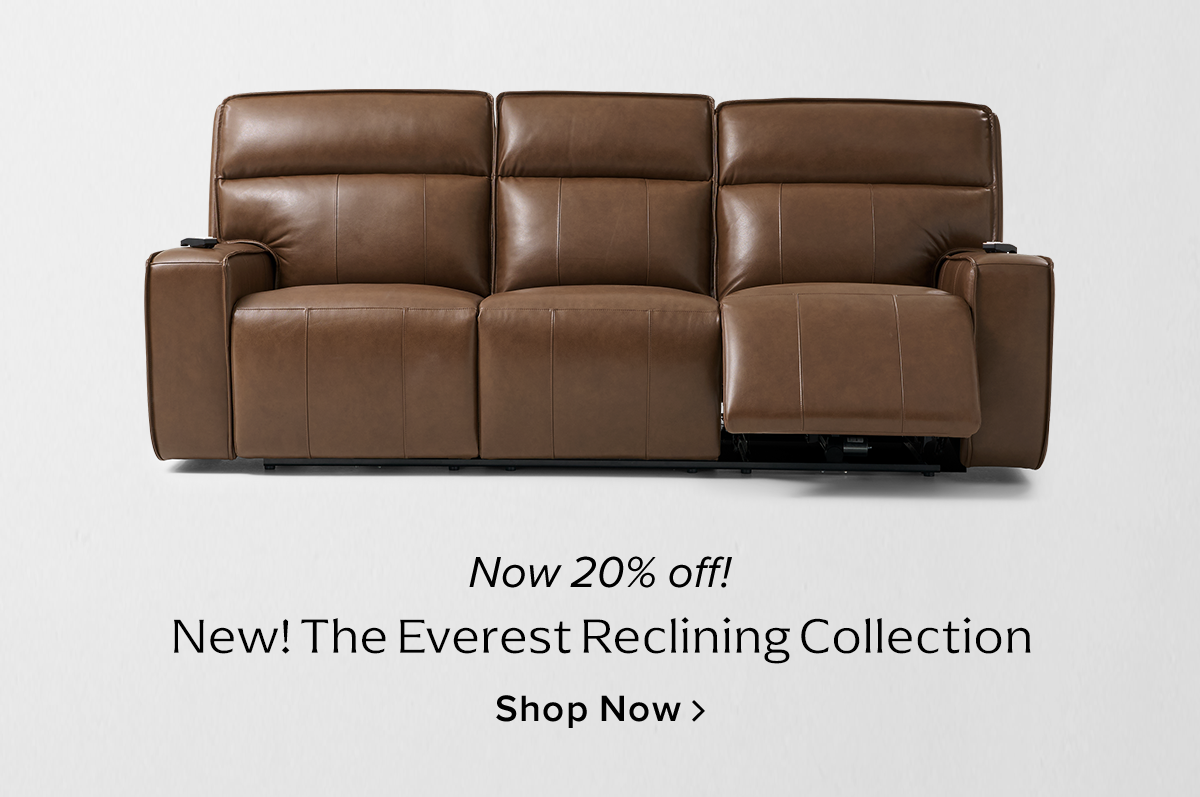 Everest Reclining Collection
